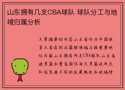 山东拥有几支CBA球队 球队分工与地域归属分析