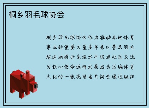 桐乡羽毛球协会