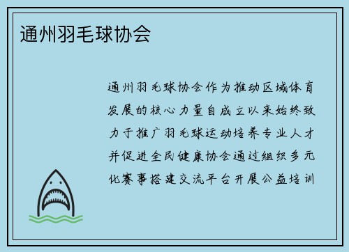 通州羽毛球协会