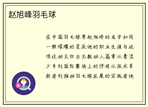 赵旭峰羽毛球